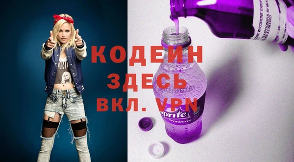 прущие грибы Каменногорск