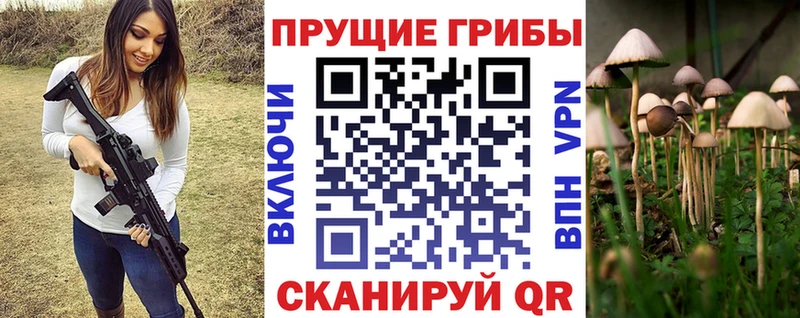 купить наркотики сайты  Ессентуки  Галлюциногенные грибы прущие грибы 